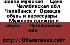 шапка мужская  › Цена ­ 200 - Челябинская обл., Челябинск г. Одежда, обувь и аксессуары » Мужская одежда и обувь   . Челябинская обл.